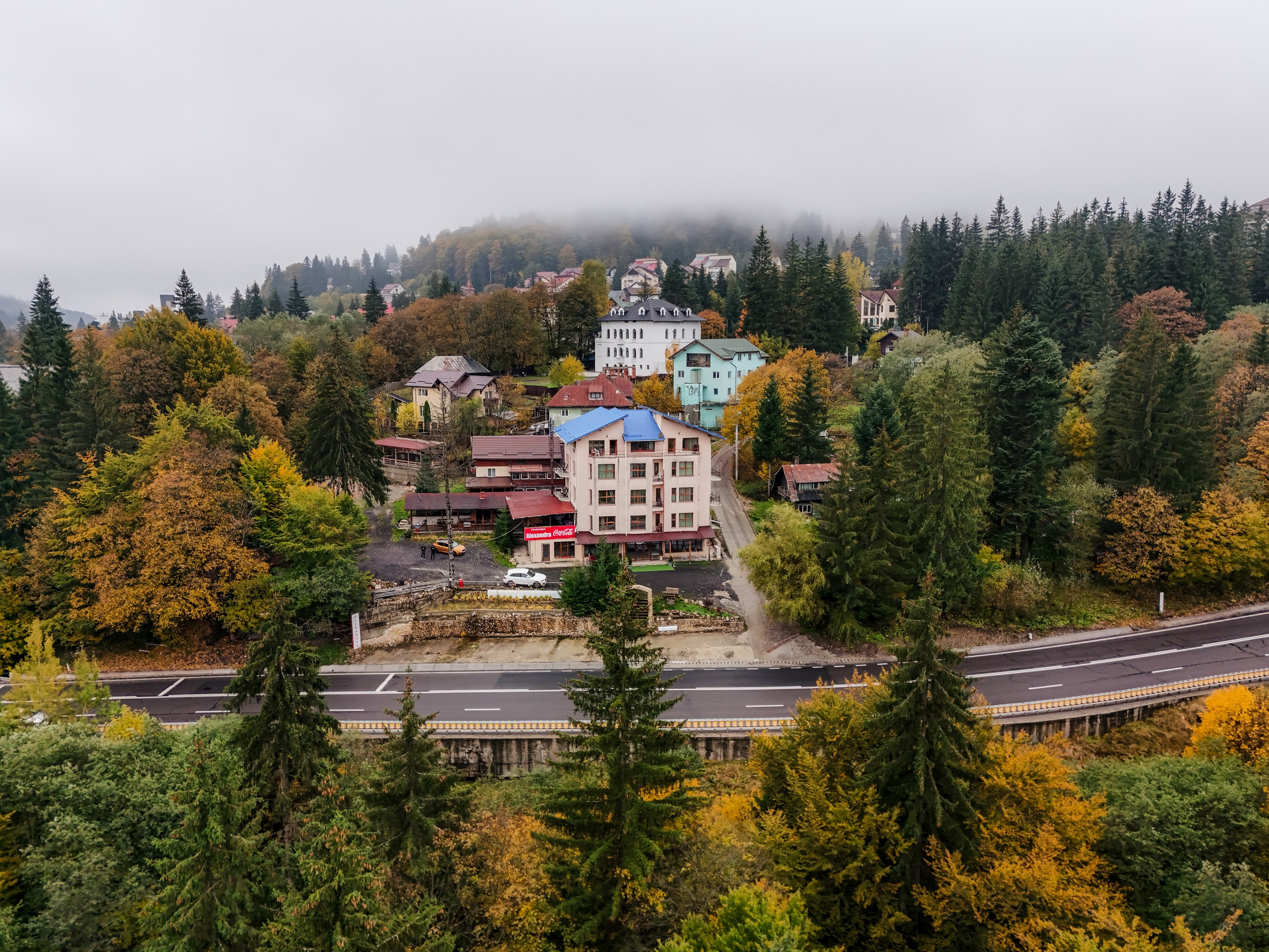 Pensiunea Alexandra - vedere aeriană